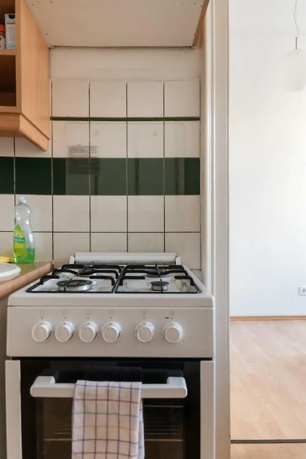 Charming City Apartment Viena Austria